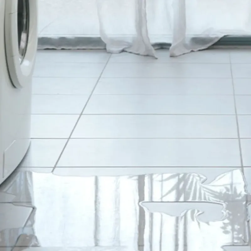 Appliance Leak Cleanup in Carpentersville, IL