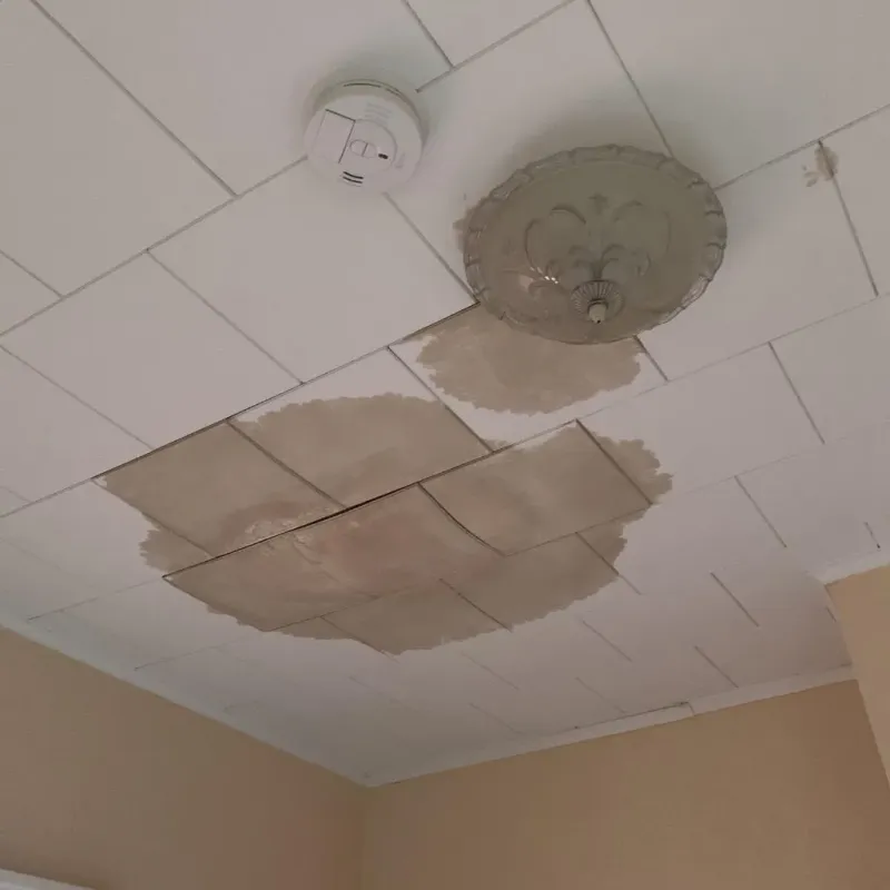 Ceiling Water Damage Repair in Carpentersville, IL