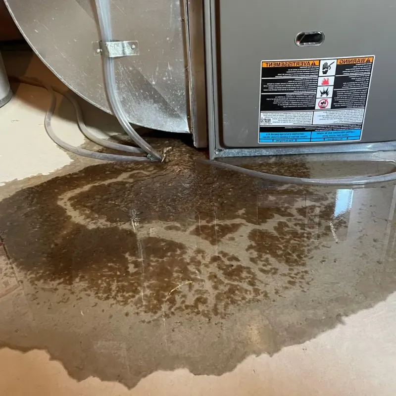 Pipe Burst and Leak Restoration in Carpentersville, IL