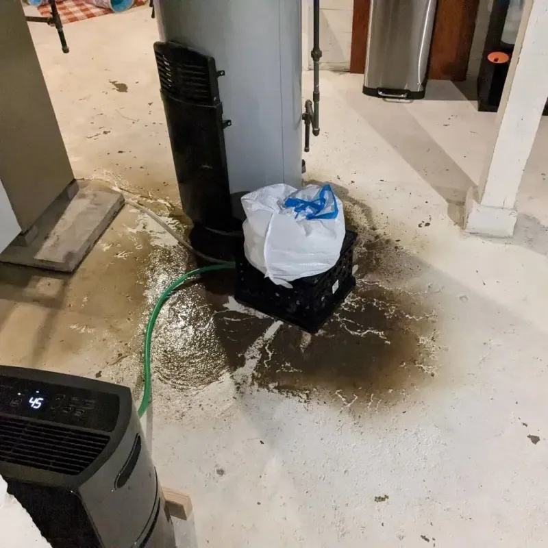 Sewage Backup Cleanup Service in Carpentersville, IL